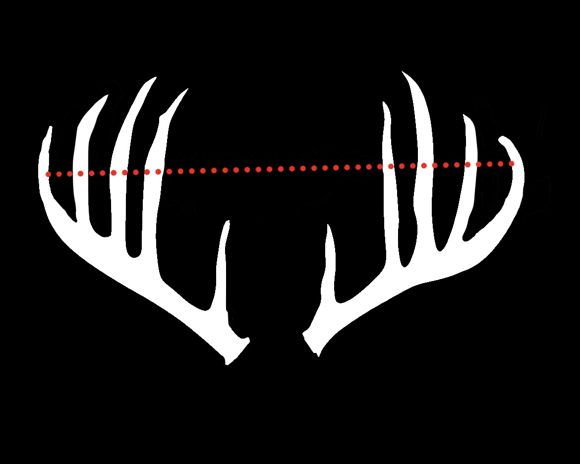 Inside Spread Measurement